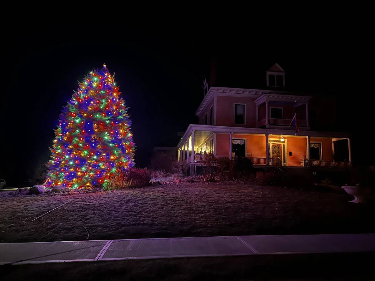 Multicolor Christmas tree beside a warmly lit home