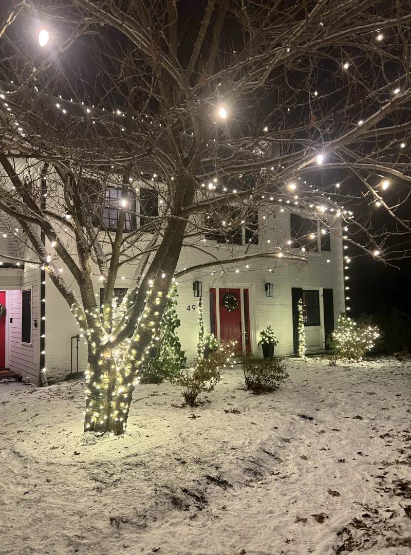 Holiday string lights in a snow-covered front-yard tree