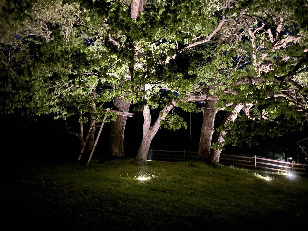 Seasons Shining project photo