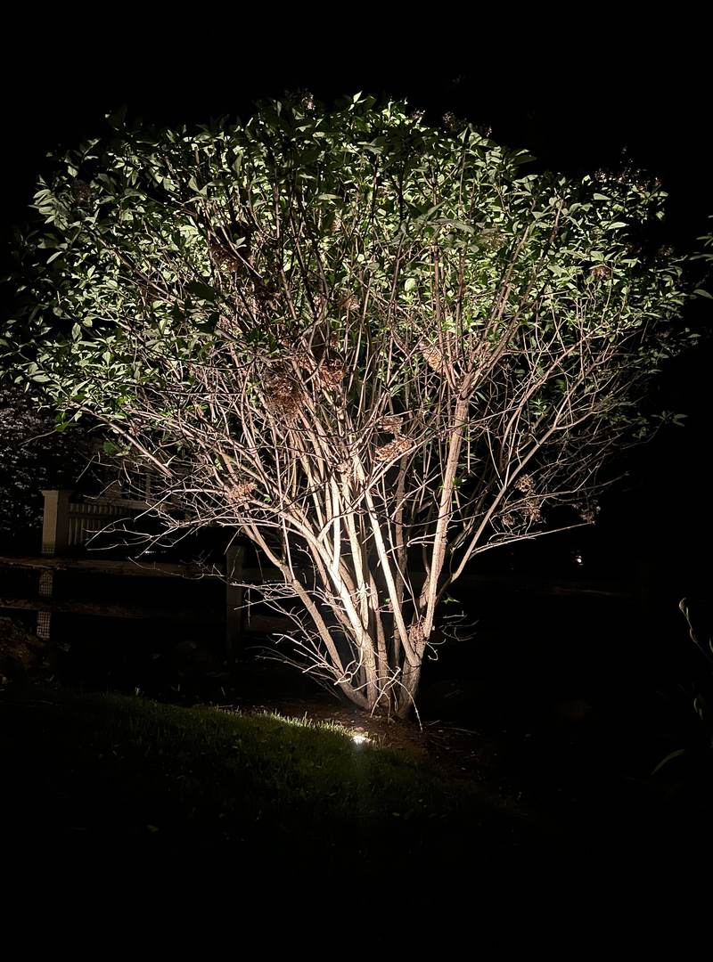 Seasons Shining project photo